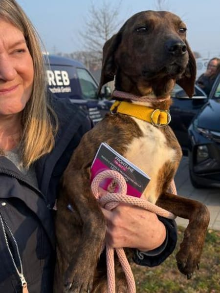 Favola zutrauliche Junghündin auf PS inD