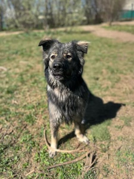 entspannte ruhige Fenya wartet auf dich