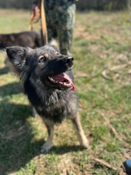 entspannte ruhige Fenya wartet auf dich