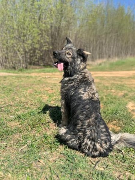 entspannte ruhige Fenya wartet auf dich