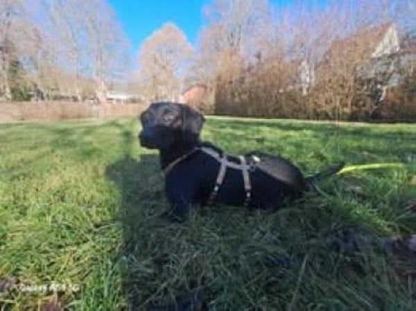 💙Cormac💙 such sein Zuhause