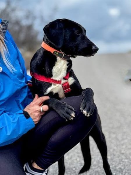 Zenzi möchte dein Herz erobern