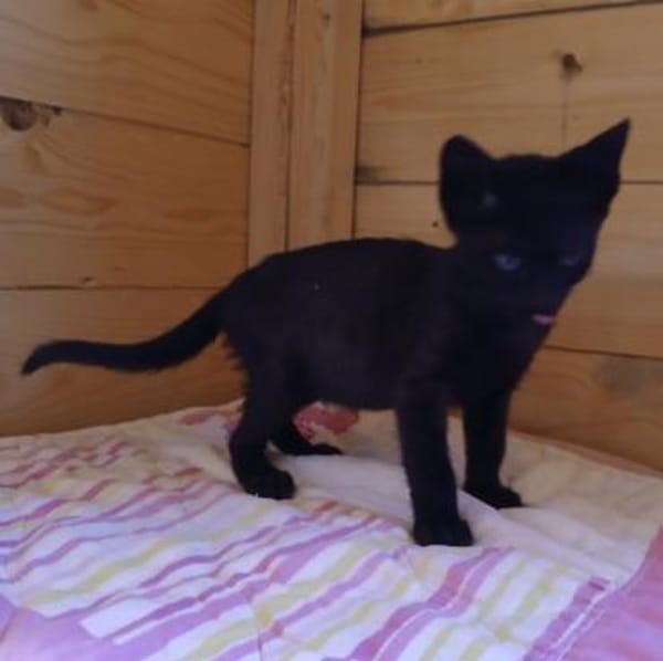 Süße Babs sucht Zuhause