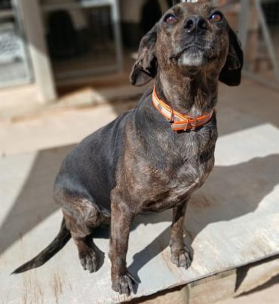 Vicky liebt Menschen