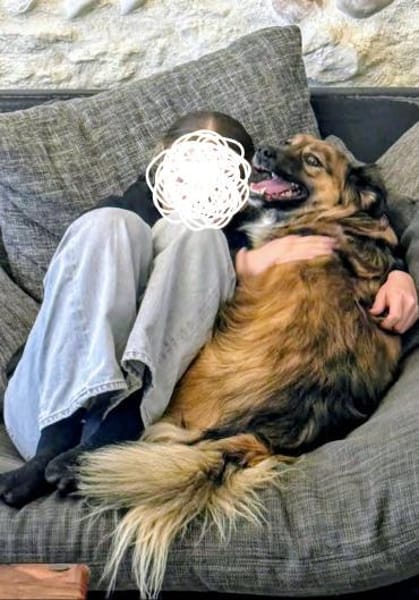 Amy , Notfall sucht zuhause