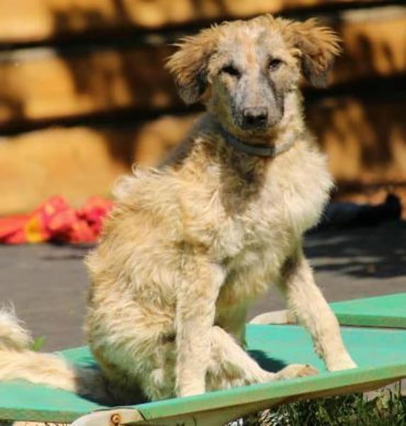 Cora, Man muss nicht perfekt sein ❤