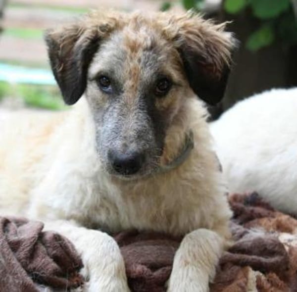 Cora, Man muss nicht perfekt sein ❤