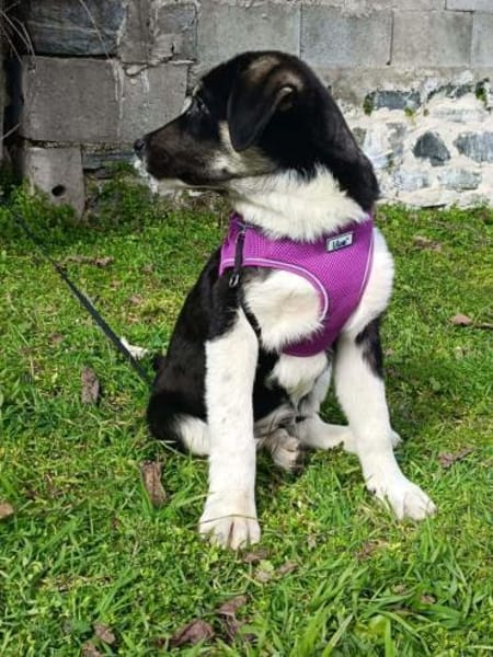 Richie ein sehr freundliches Kerlchen