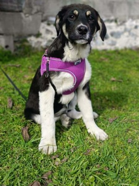 Richie ein sehr freundliches Kerlchen