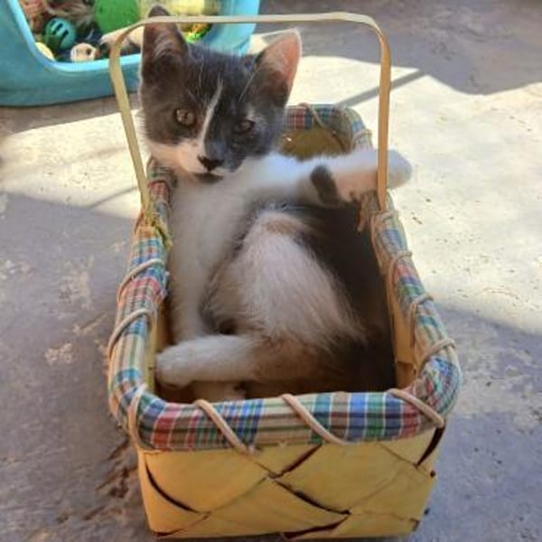 Hübsche Lydia raubt dir den Atem!