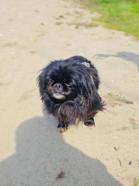 Maggie einfach zauberhaft