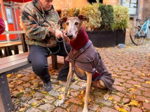 Yull liebt die Ruhe und Gemütlichkeit