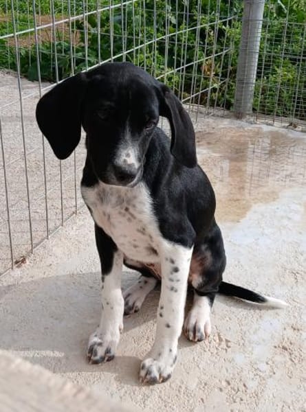 Kirki einfach bezaubernd