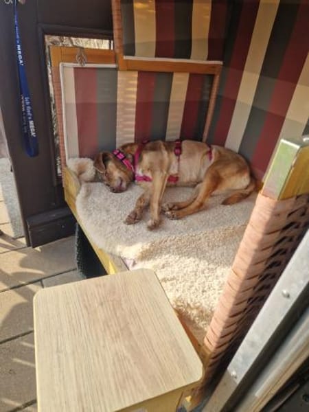 Bess - freundlich und zurückhaltend