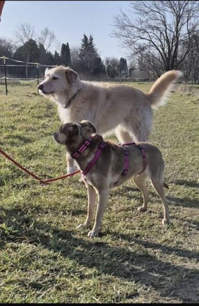 Bess - freundlich und zurückhaltend