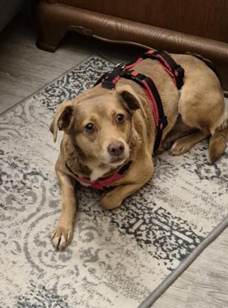 Bess - freundlich und zurückhaltend