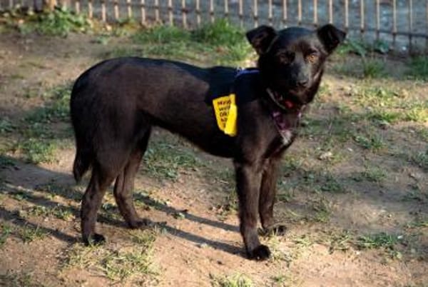 Minda unsere kleine Schönheit..