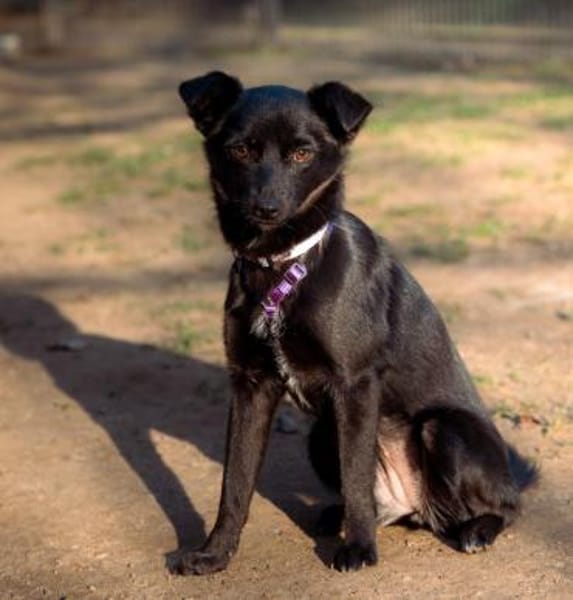 Minda unsere kleine Schönheit..