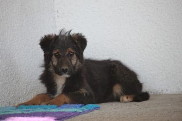 Sidney möchte mit Dir die Welt entdecken