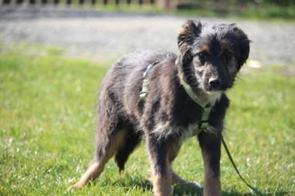 Sidney möchte mit Dir die Welt entdecken