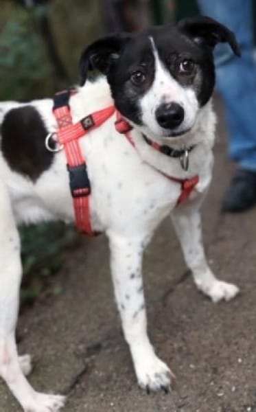 SAMANTHA hofft auf ihre Familie