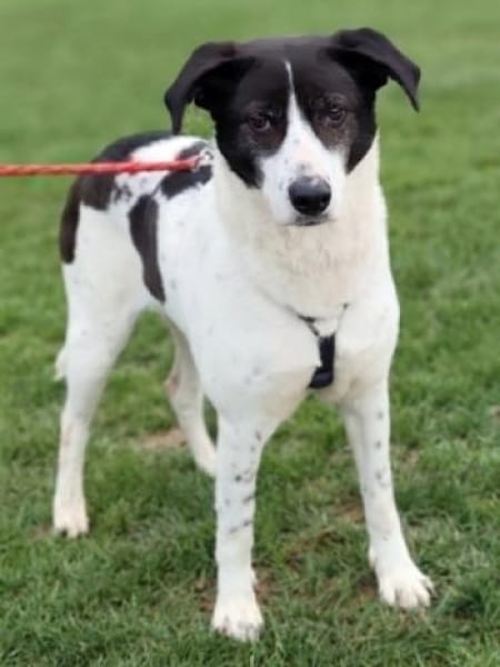 SAMANTHA hofft auf ihre Familie