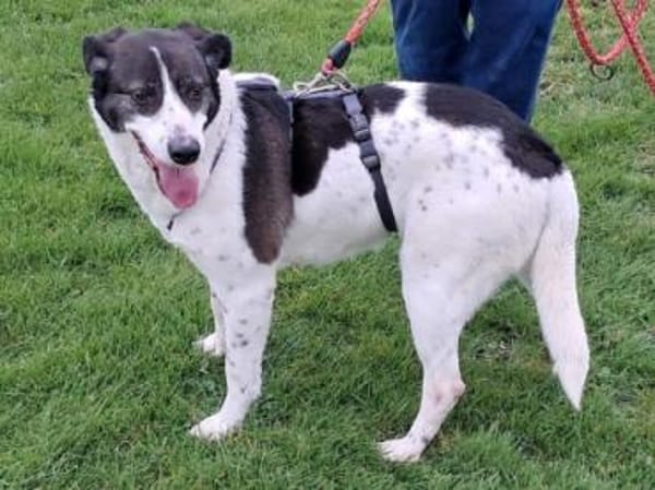 SAMANTHA hofft auf ihre Familie