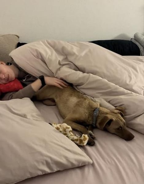 Roby freundlich und verspielt