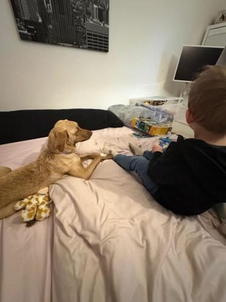 Roby freundlich und verspielt