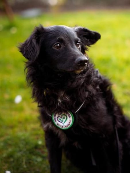 Ace such seine Herzensmenschen...