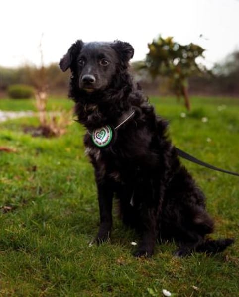 Ace such seine Herzensmenschen...