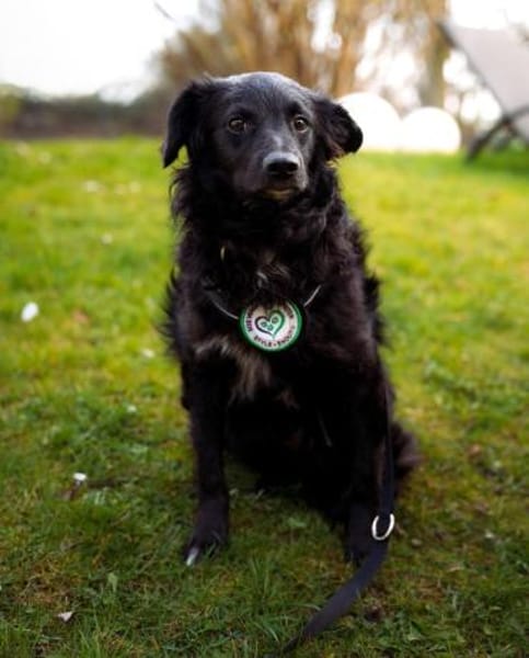 Ace such seine Herzensmenschen...