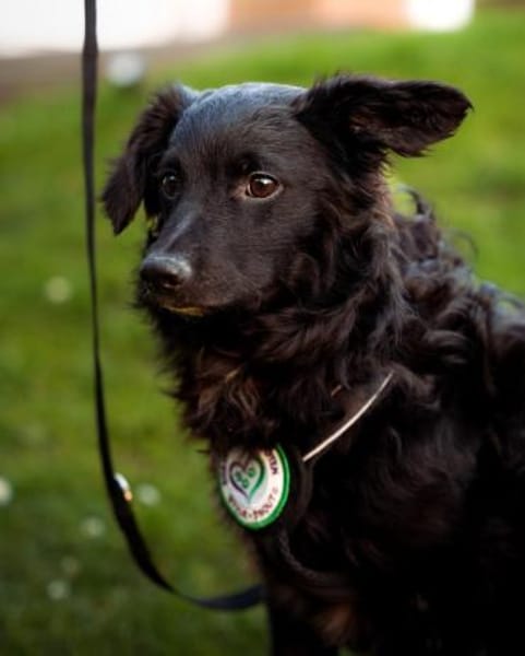 Ace such seine Herzensmenschen...