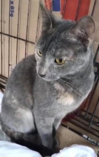 SHAKIRA möchte endlich ankommen