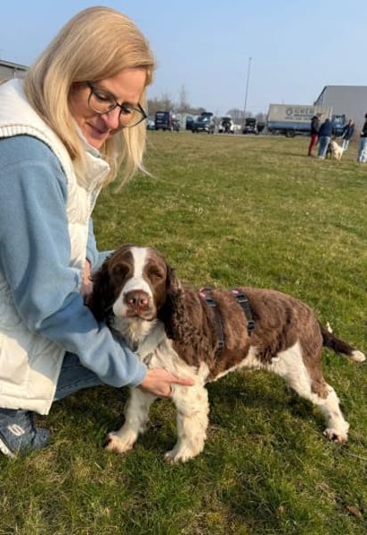 Rina 💖Springer Spaniel Hündin auf PS