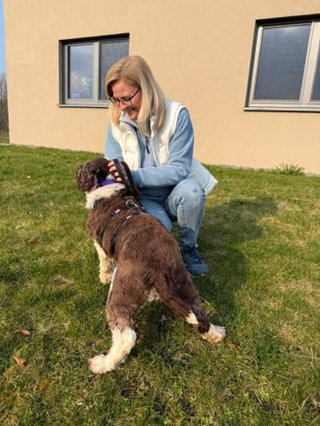 Rina 💖Springer Spaniel Hündin auf PS
