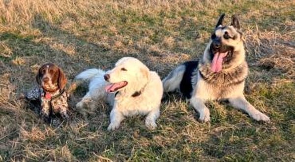 Amira freundlich und verschmust