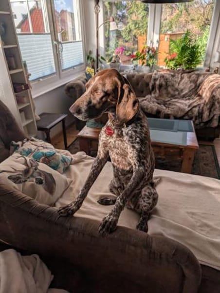 Amira freundlich und verschmust