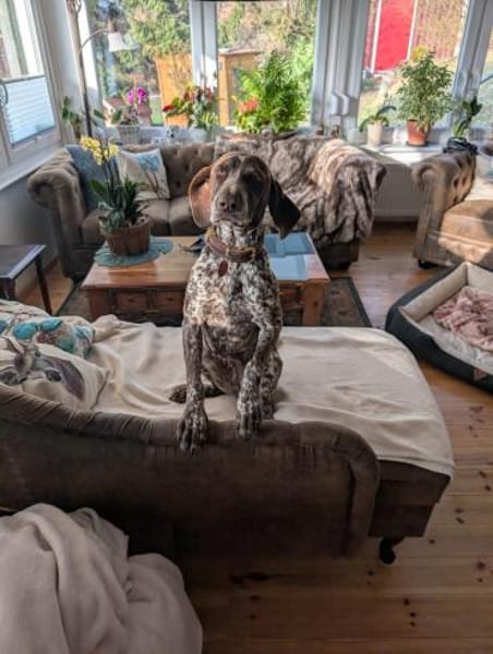 Amira freundlich und verschmust