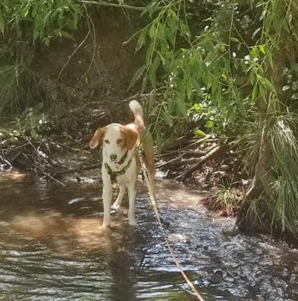 Cappucino 💙💙💙 sucht Happy-Home