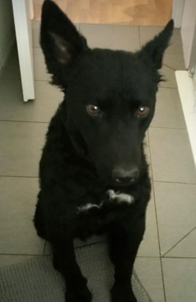 Chuck verliert sein Zuhause