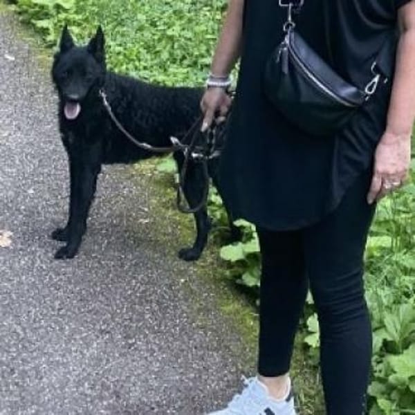 Chuck verliert sein Zuhause