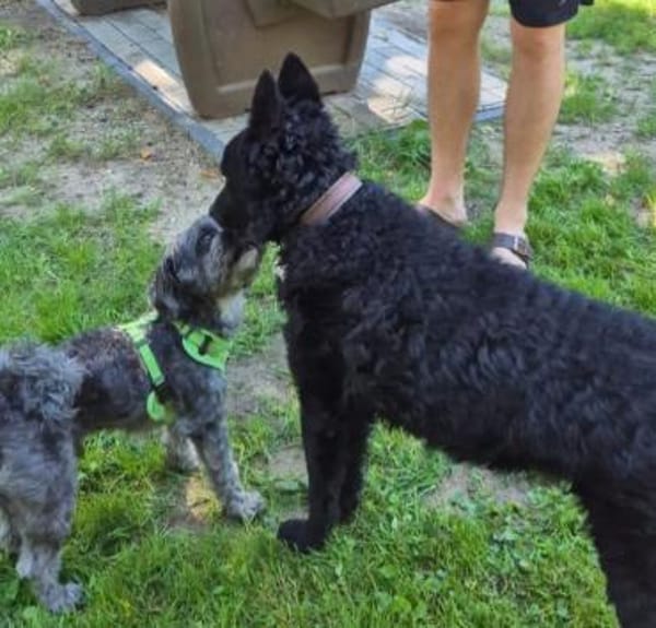 Chuck verliert sein Zuhause