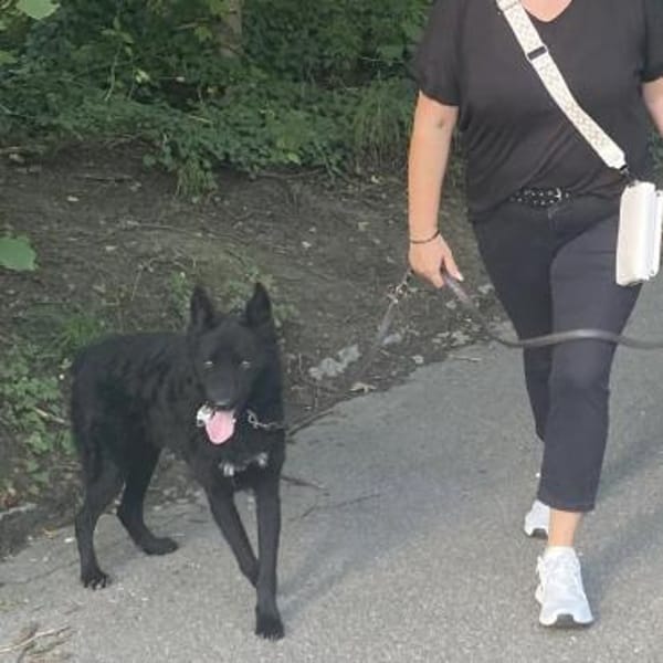 Chuck verliert sein Zuhause