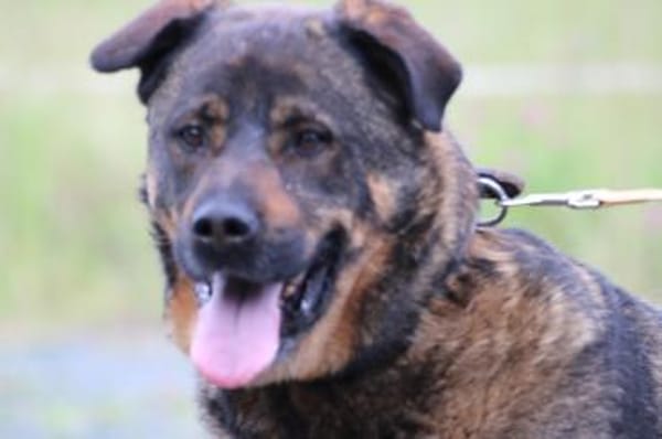 Yona - ein echter Prachtkerl!