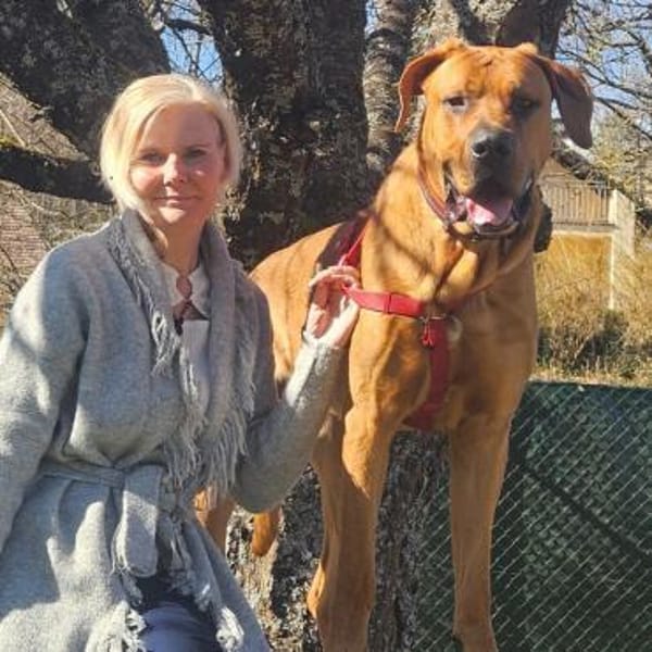 CADILLAC - verspielt und neugierig