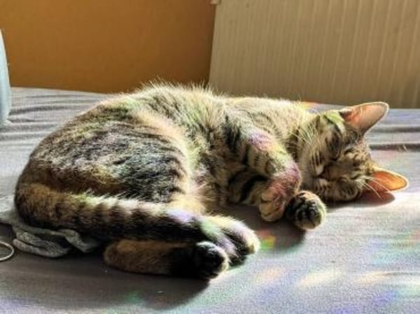 Chesire & Alice - Mutter-Tochterduo