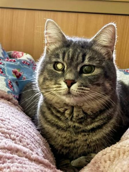 Chesire & Alice - Mutter-Tochterduo