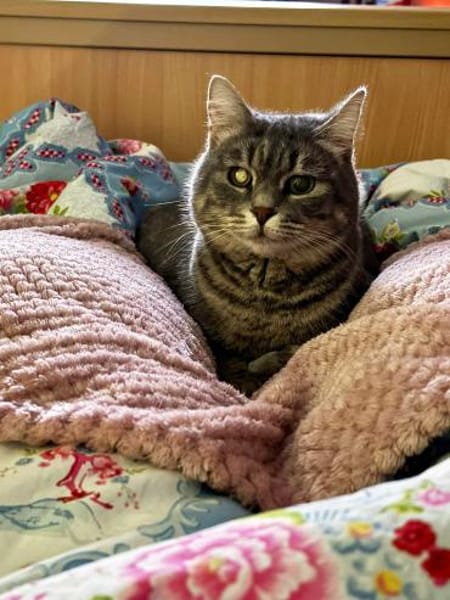 Chesire & Alice - Mutter-Tochterduo