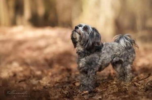 Ebony - freundlich&aktiv